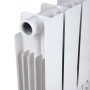 Радіатор біметалічний Thermo Alliance Bi-Ferrum 300/100 1,15 кг