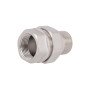 Згін-американка Thermo Alliance Forte 3/4"ВЗ нікельований, прямий, під плоску прокладку TAFG190W20