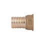 Штуцер Thermo Alliance Standart 18х1/2" ВР SD4261518