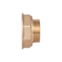 Перехідник Thermo Alliance Standart 2"х1 1/2" ВЗ SD4095040