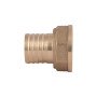 Штуцер Thermo Alliance Standart 25х1" ВР SD4262525