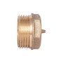 Заглушка Thermo Alliance Standart 1" ЗР SD40325