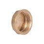 Заглушка Thermo Alliance Standart 1 1/2" ВР SD40240