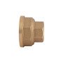 Муфта Thermo Alliance Standart 1/2"х1" ВР SD4051525