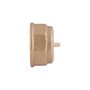 Заглушка Thermo Alliance Standart 1/2" ВР SD40215