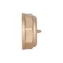 Заглушка Thermo Alliance Standart 1" ВР SD40225