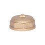 Заглушка Thermo Alliance Standart 1" ВР SD40225