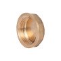 Заглушка Thermo Alliance Standart 1 1/2" ВР SD40240
