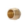 Заглушка Thermo Alliance Standart 1/2" ЗР SD40315