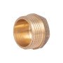 Заглушка Thermo Alliance Standart 1" ЗР SD40325
