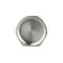Заглушка Thermo Alliance Forte 1" ВР SF35225