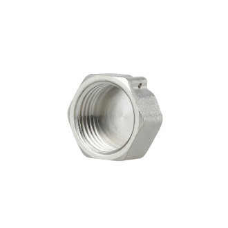 Заглушка Thermo Alliance Forte 1/2