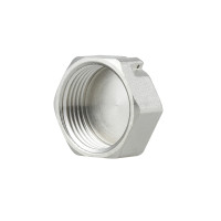 Заглушка Thermo Alliance Forte 1