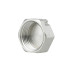 Заглушка Thermo Alliance Forte 1" ВР SF35225