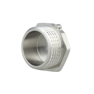 Заглушка Thermo Alliance Forte 1