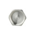 Заглушка Thermo Alliance Forte 3/4" ВР SF35220