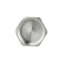 Заглушка Thermo Alliance Forte 3/4" ВР SF35220