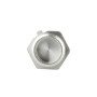Заглушка Thermo Alliance Forte 1/2" ЗР SF35315