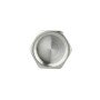 Заглушка Thermo Alliance Forte 1/2" ВР SF35215