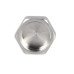 Заглушка Thermo Alliance Forte 1/2" ВР SF35215