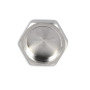 Заглушка Thermo Alliance Forte 1/2" ВР SF35215