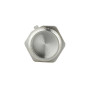 Заглушка Thermo Alliance Forte 3/4" ЗР SF35320