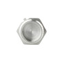 Заглушка Thermo Alliance Forte 1" ЗР SF35325