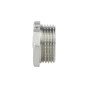 Заглушка Thermo Alliance Forte 1" ЗР SF35325