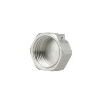 Заглушка Thermo Alliance Forte 1/2