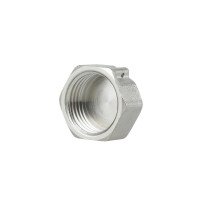 Заглушка Thermo Alliance Forte 1/2