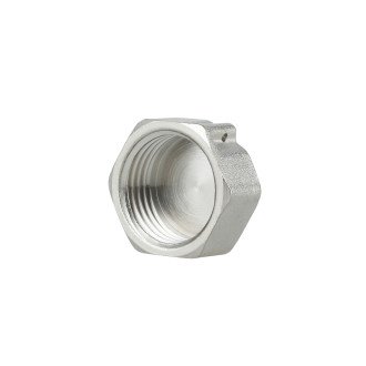 Заглушка Thermo Alliance Forte 1/2