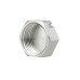Заглушка Thermo Alliance Forte 1" ВР SF35225