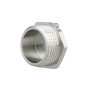 Заглушка Thermo Alliance Forte 1" ЗР SF35325