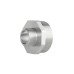 Ниппель редукционный Thermo Alliance Forte 2"х1" SF3595025