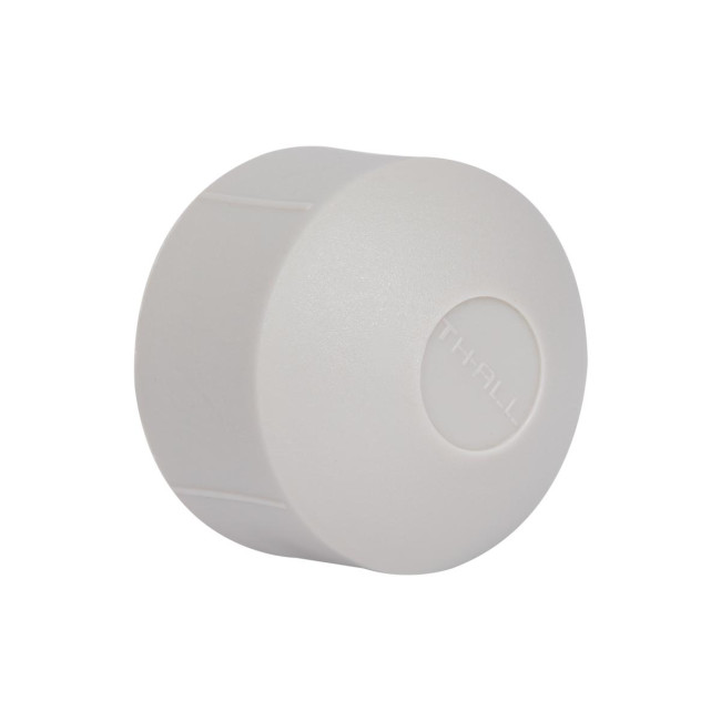 Заглушка PPR Thermo Alliance 32