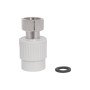 Муфта PPR Thermo Alliance з накидною гайкою 20х1/2"