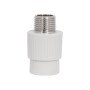 Муфта PPR Thermo Alliance 20х1/2" ЗР