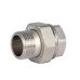 Згін "Американка" Thermo Alliance Forte 3/4" прямий SF190W20